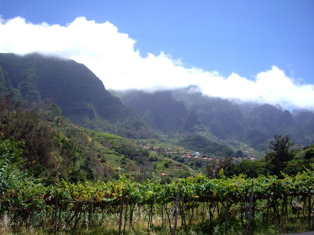 Holidays Madeira Sao Vicente  Bilik gambar